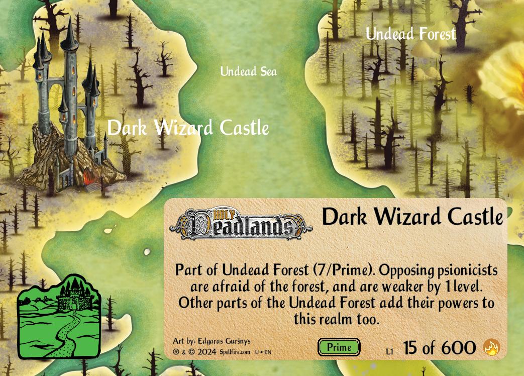 Dark Wizard Castle