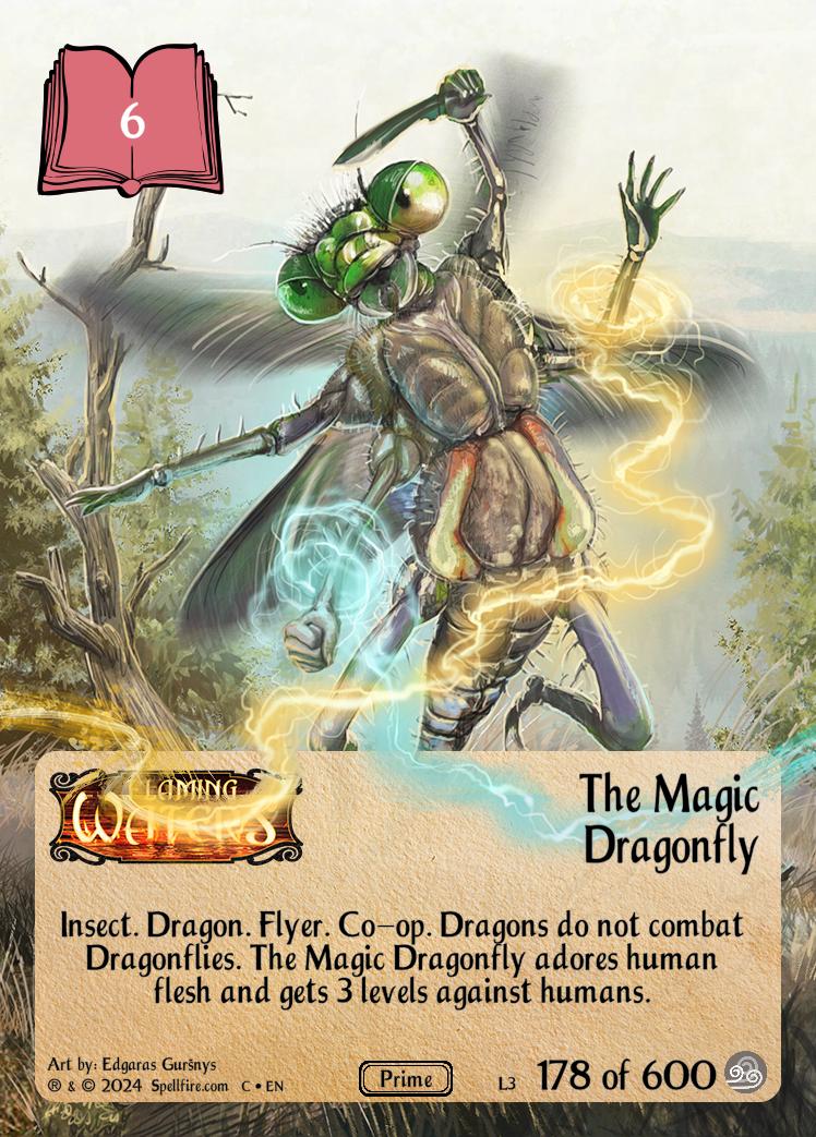 Level 3 The Magic Dragonfly