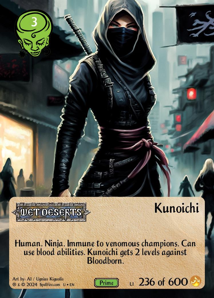 Level 1 Kunoichi