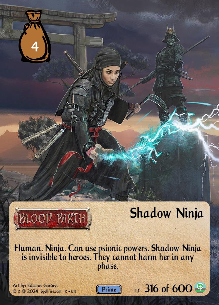 Level 1 Shadow Ninja