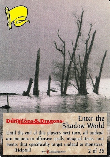 The Shadow World