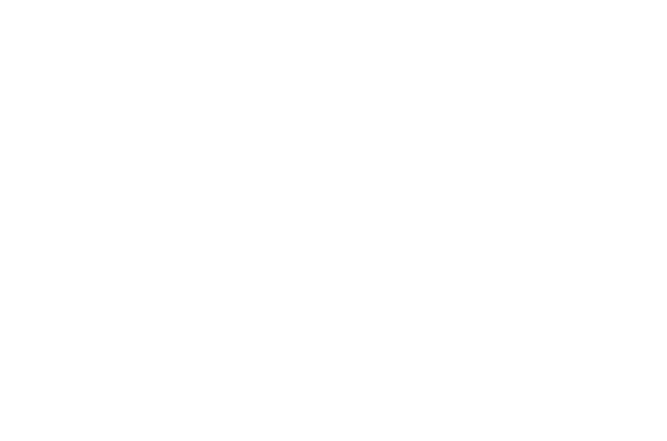 Metrix Capital